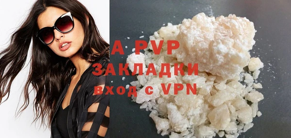 PSILOCYBIN Заводоуковск