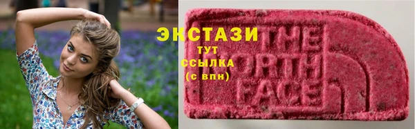 PSILOCYBIN Заводоуковск