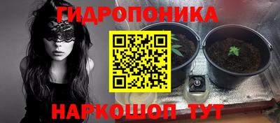 тгк Балаково