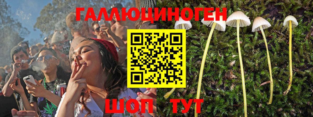 Псилоцибиновые грибы MAGIC MUSHROOMS  дарнет шоп  Нягань 